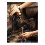 Fresh Water Postcard