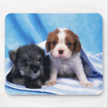 Freshly Faithful mousepads