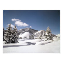 Freshly Fallen Snow Photograph