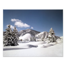 Freshly Fallen Snow Photographic Print