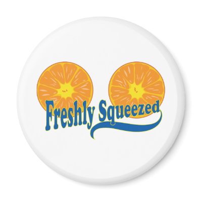 Freshly Squeezed Magnets by mariabellimages