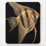 Freshwater Angelfish Mousepad