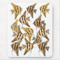 Freshwater Angelfishes Mousepad