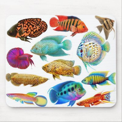 Freshwater Aquarium Fish Mousepad by twopurringcats