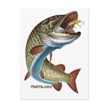 FreshWater Collection by FishTs.com