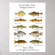 Freshwater Fish Poster