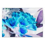 Freshwater Flowers cards