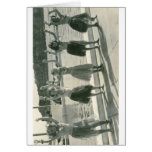 Freshwater Ladies Swimming Club Gala Day, 1949 cards