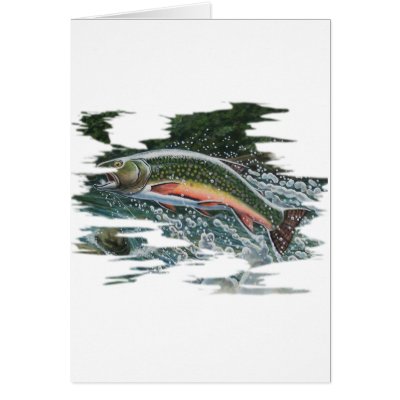 FreshWater Series by FishTs.com by FishTsdotcom