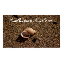 Freshwater Snail Shell Business Cards