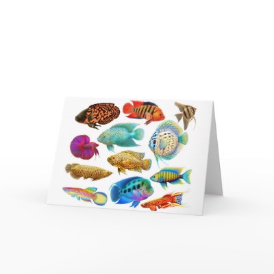 Freshwater Tropical Fishes Card by twopurringcats