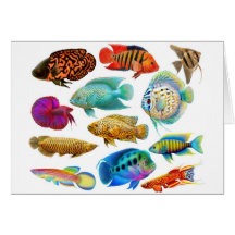 Freshwater Tropical Fishes Card