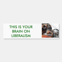 FRIED, THIS IS YOUR BRAIN ON LIBERALISM BUMPER STICKERS