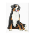 Friendly Bernese Mountain Dog Wrapped Canvas Stretched Canvas Print
