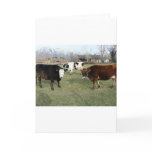 friendly cows cards