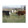 friendly cows postcards