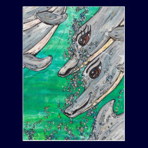 Friendly Dolphin Pod postcards