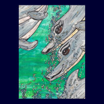 Friendly Dolphin Pod posters