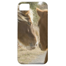 FRIENDLY HORSES iPhone 5 CASE