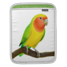 Friendly Lutino Lovebird Rickshaw Sleeve iPad Sleeves