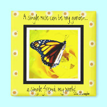 Friendly Monarch Butterfly Magnet magnets