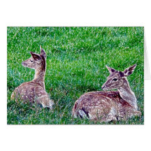 Friendly Relaxation Greeting Card