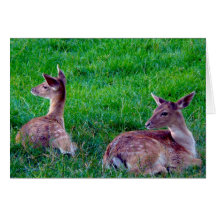 Friendly Relaxation Greeting Cards