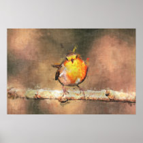 Friendly Robin Poster