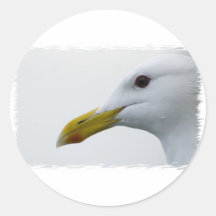 Friendly Seagull? Sticker