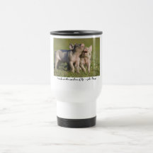 Friends are the Sunshine of Life... Mugs