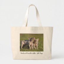 Friends are the Sunshine of Life Tote Bag