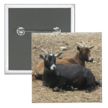 Friends Forever Goats Buttons