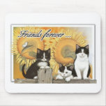 friends forever kittens mouse mats