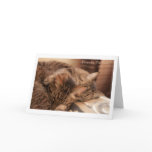 Friends forever postcard