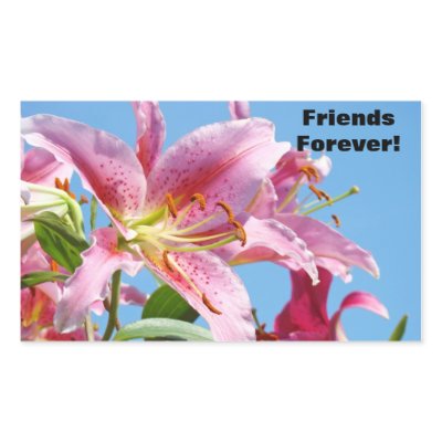 Friends Forever! stickers Pink Lily Flowers Sky by Basleeartprintgifts