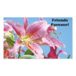 Friends Forever! stickers Pink Lily Flowers Sky