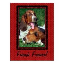 Friends Furever [Forever] postcards