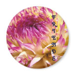 FRIENDS magnet Purple Pink Dahlia Flower magnets