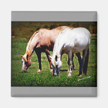 "Friends" Pair of Horses Magnet