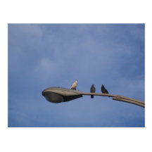 friends post cards