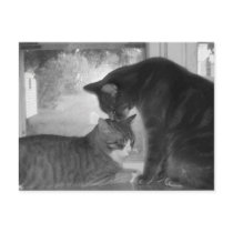 Friends Postcard