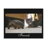 Friends Postcard