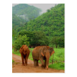 Friends Postcard
