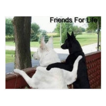 friends postcards