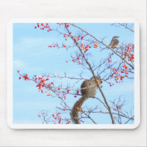 Friends - Squirrel and Bird Friends Eating Berries Mousepad