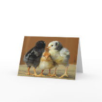 Friends Stick Together Card