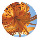 FRIENDS STICKERS Orange Lily Flowers Stickers