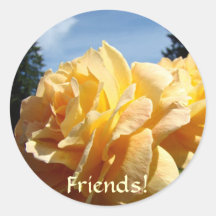 FRIENDS! STICKERS Orange Rose Flower Sticker Sheet