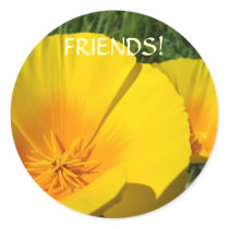FRIENDS STICKERS Poppy Flowers Stickers Friendship