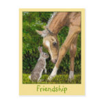 Friendship Bunny & Foal postcard